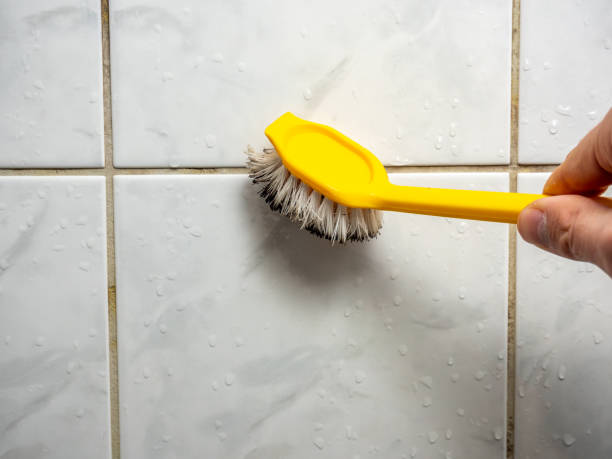 Best Mold Testing and Removal  in Soddy Daisy, TN