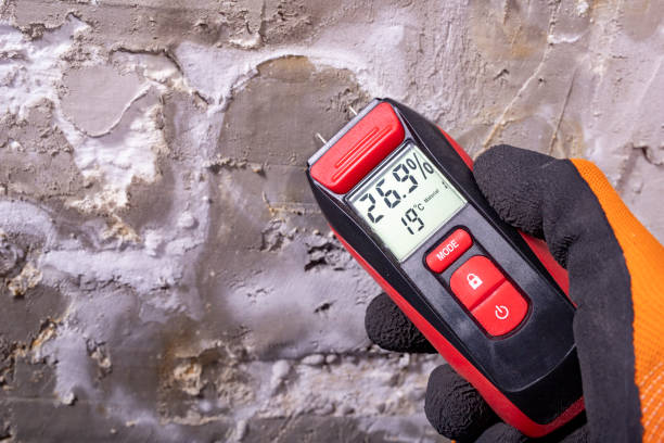 Mold Testing and Removal in Soddy Daisy, TN
